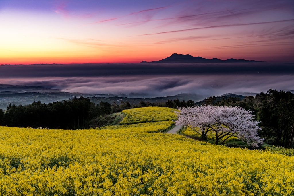 長崎 白木峰高原