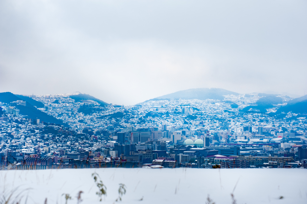 山の上まで雪