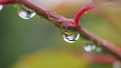 水滴3