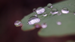 水滴1
