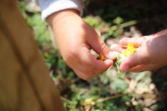 お花摘み