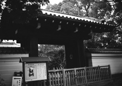 覚王山日泰寺 5