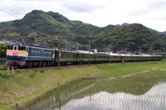 2015.06