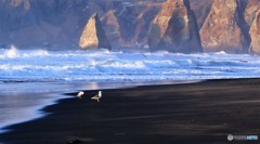 今朝の室蘭イタンキ浜