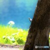 視線