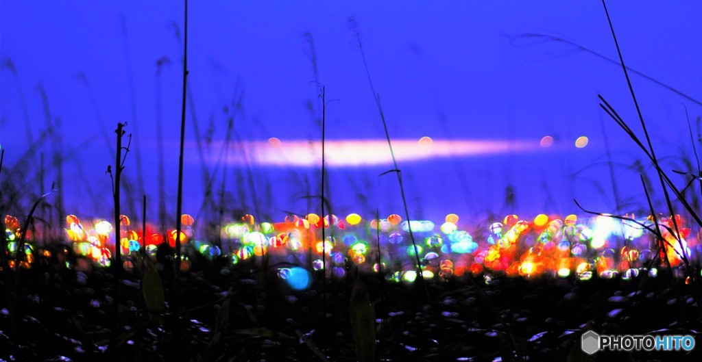 city lights and moon light