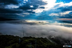 海霧の朝