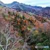 白老の山