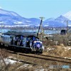 思い出の列車