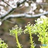 朝から仲良し