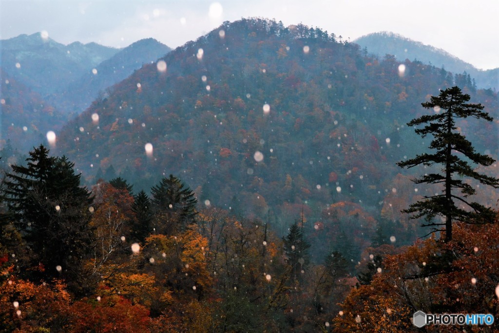 初雪