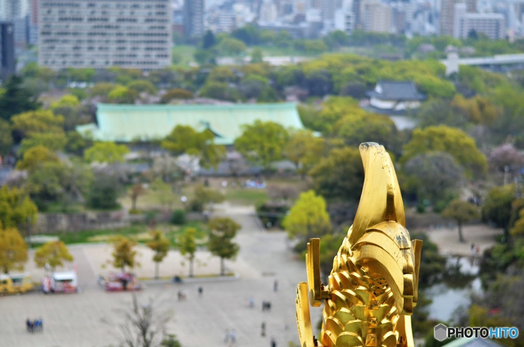 大阪城からの眺め
