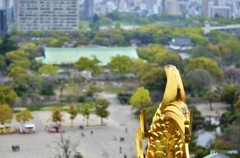 大阪城からの眺め