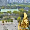 大阪城からの眺め