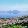 壮瞥梅公園