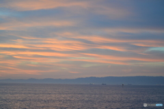 海が好き