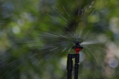 sprinkler