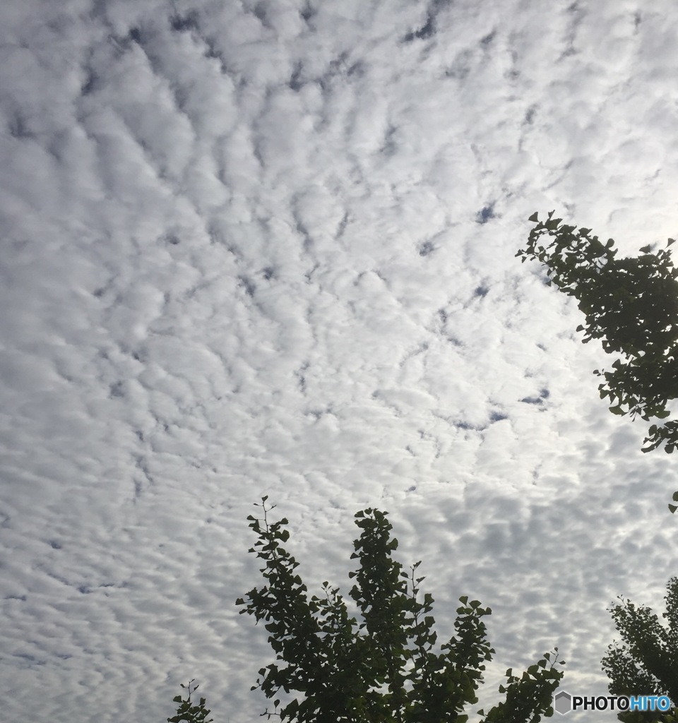 秋空