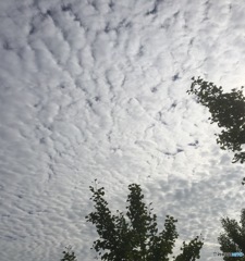 秋空