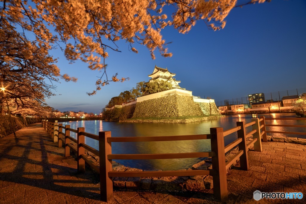 岸和田城２