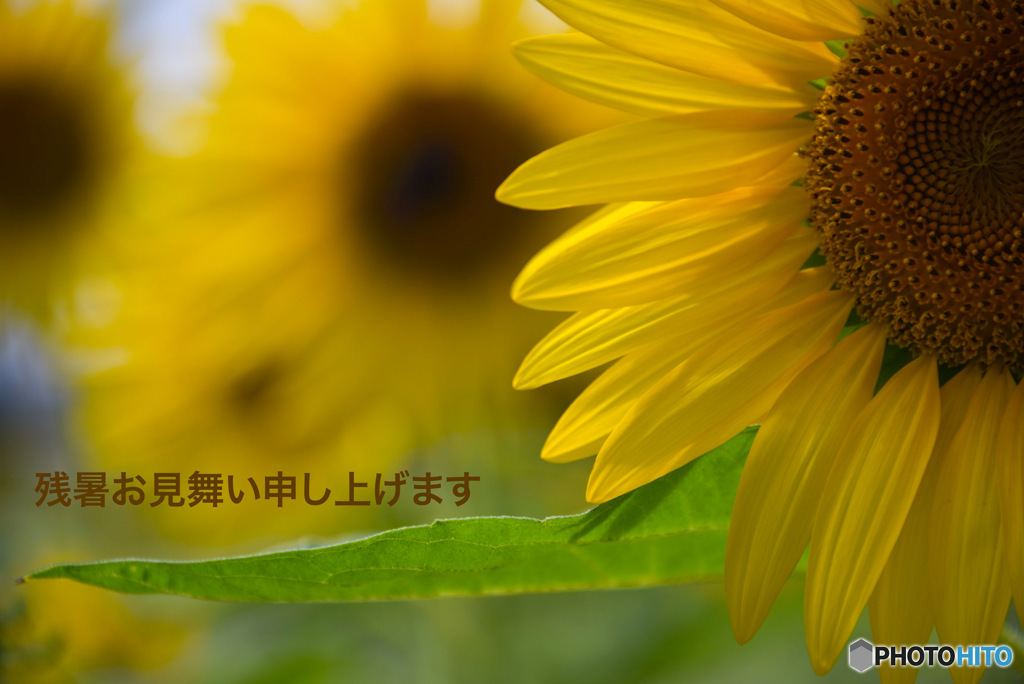 暑いねー