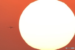 太陽がいっぱい２