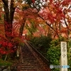 鈴虫の鳴く寺