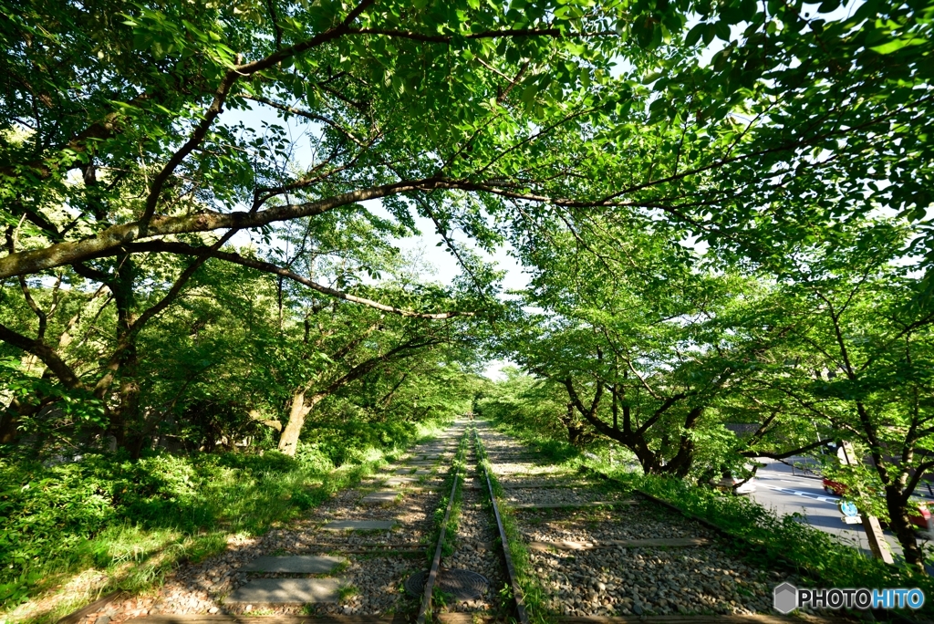 蹴上インクライン〜新緑〜