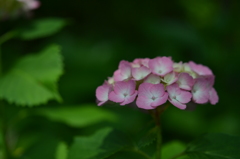DSC_0065