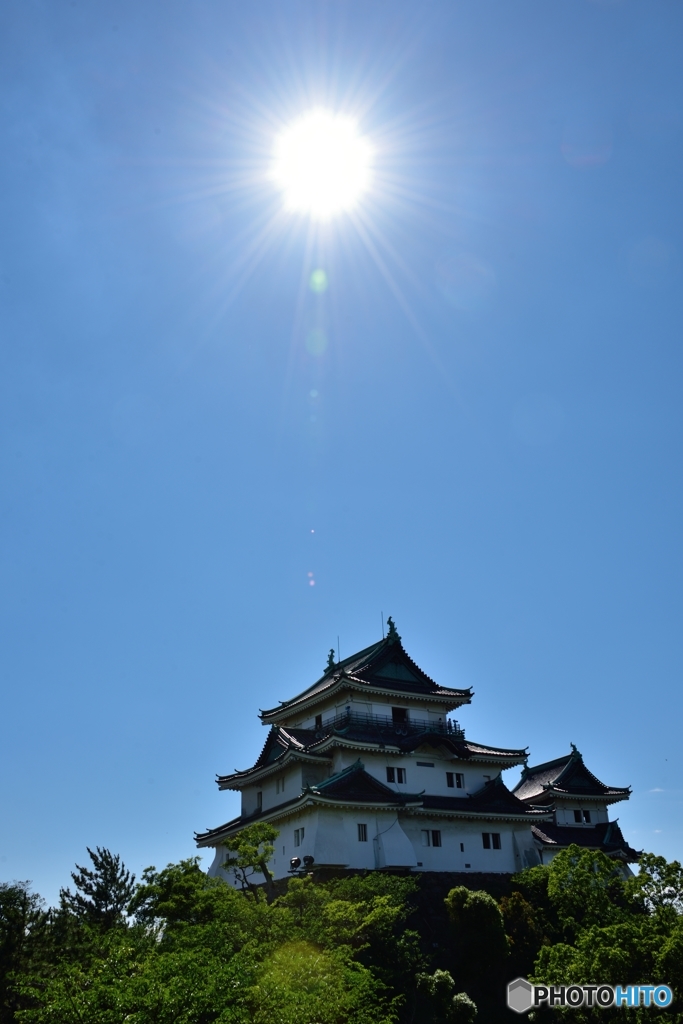 なんとなく和歌山城