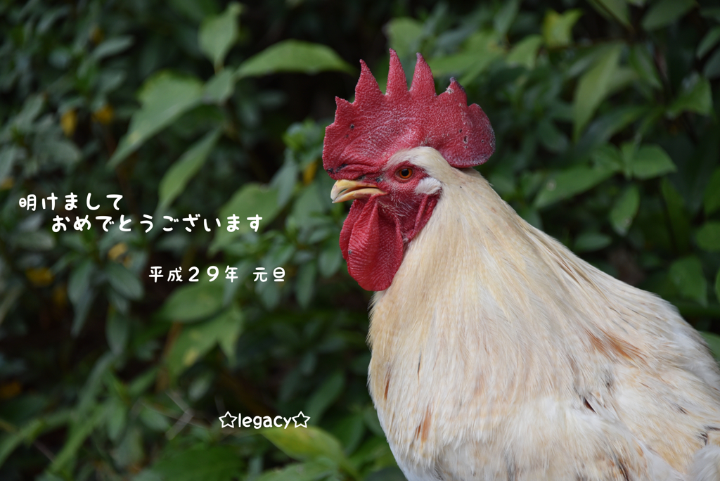 マサヒロ君
