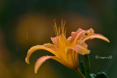 Rainy day