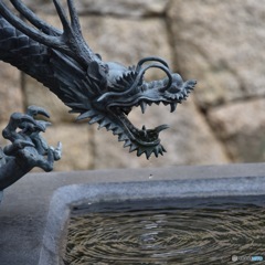 吐水龍