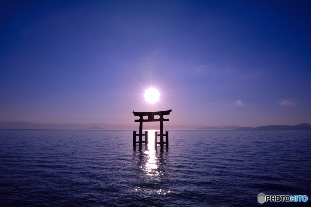 朝陽を浴びて