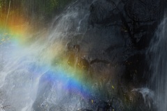 滝の虹