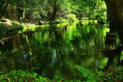 池の山水源