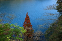 水のある風景 65