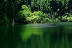 湖面の印象