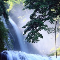 朝陽の滝