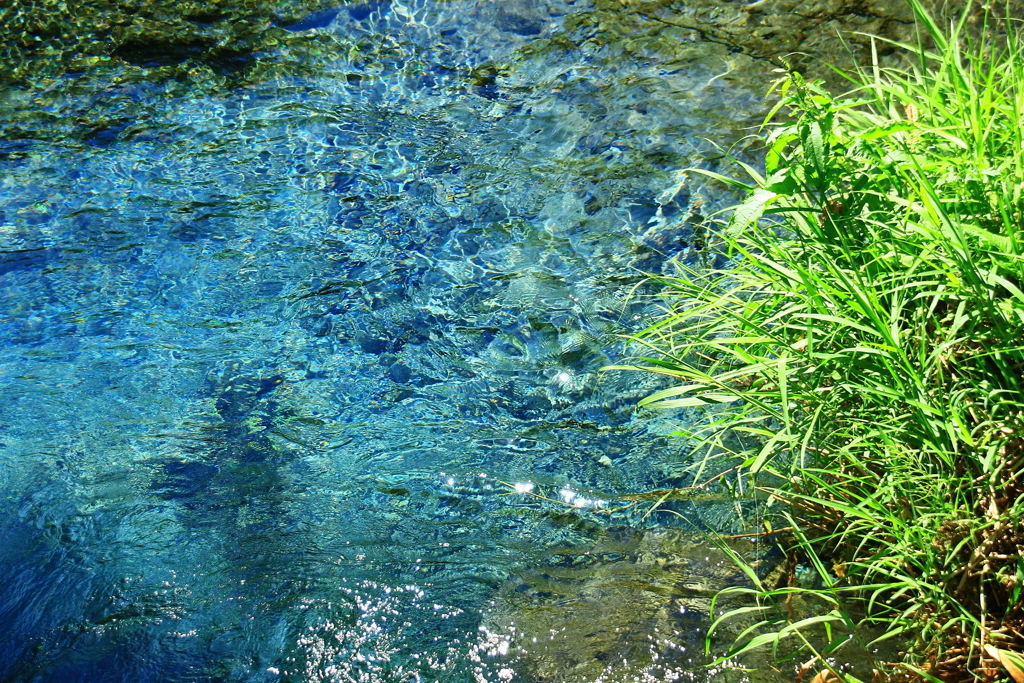 透明な池山水源