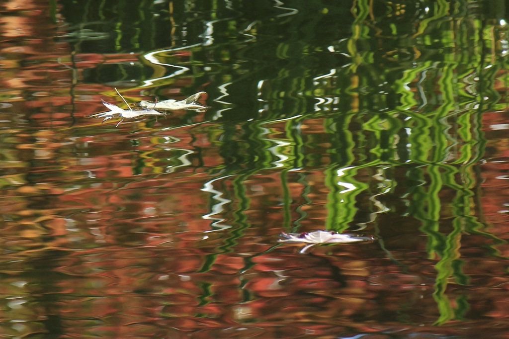 水面