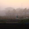 霧の朝
