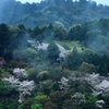 光景