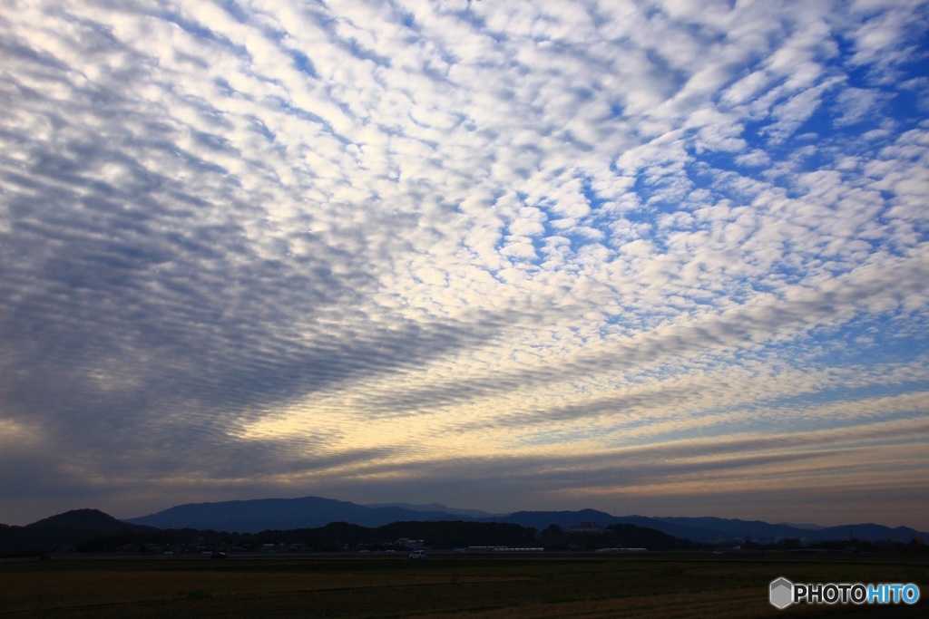 今日の空