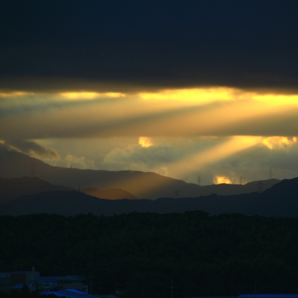 2016・8月29日・夕方