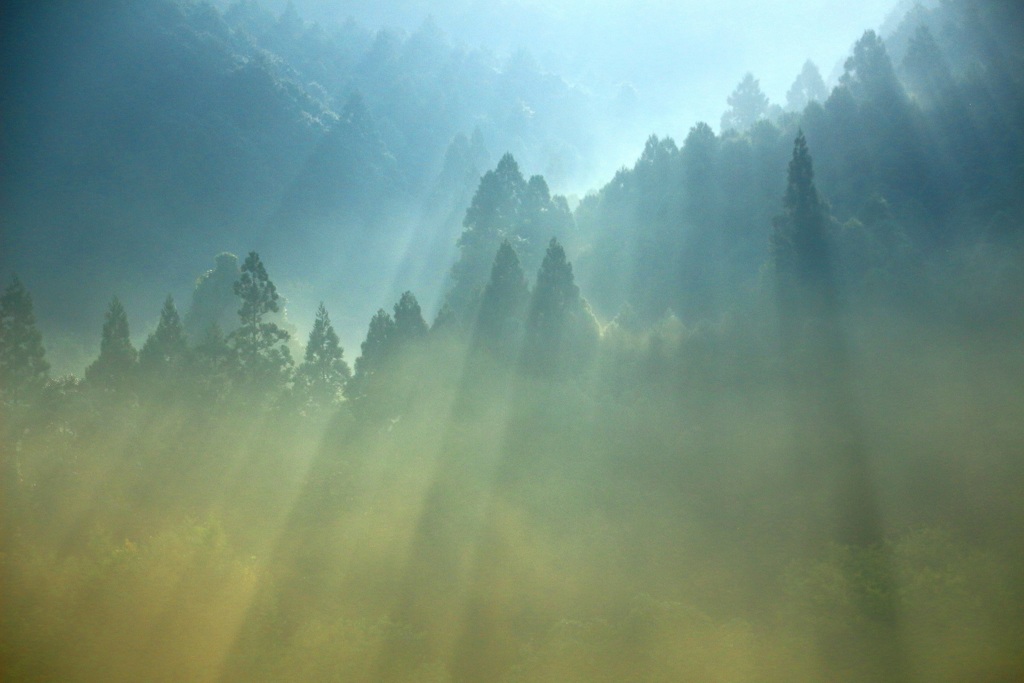 霧の朝