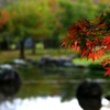 雨の公園