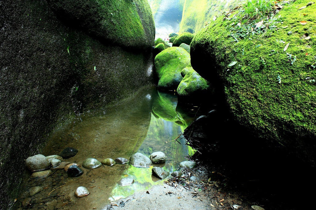 水のある風景 57