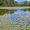 湖畔風景