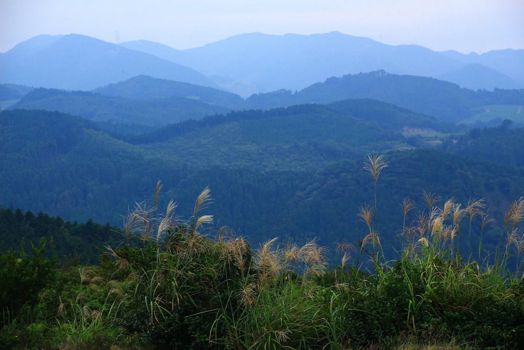 秋の山里